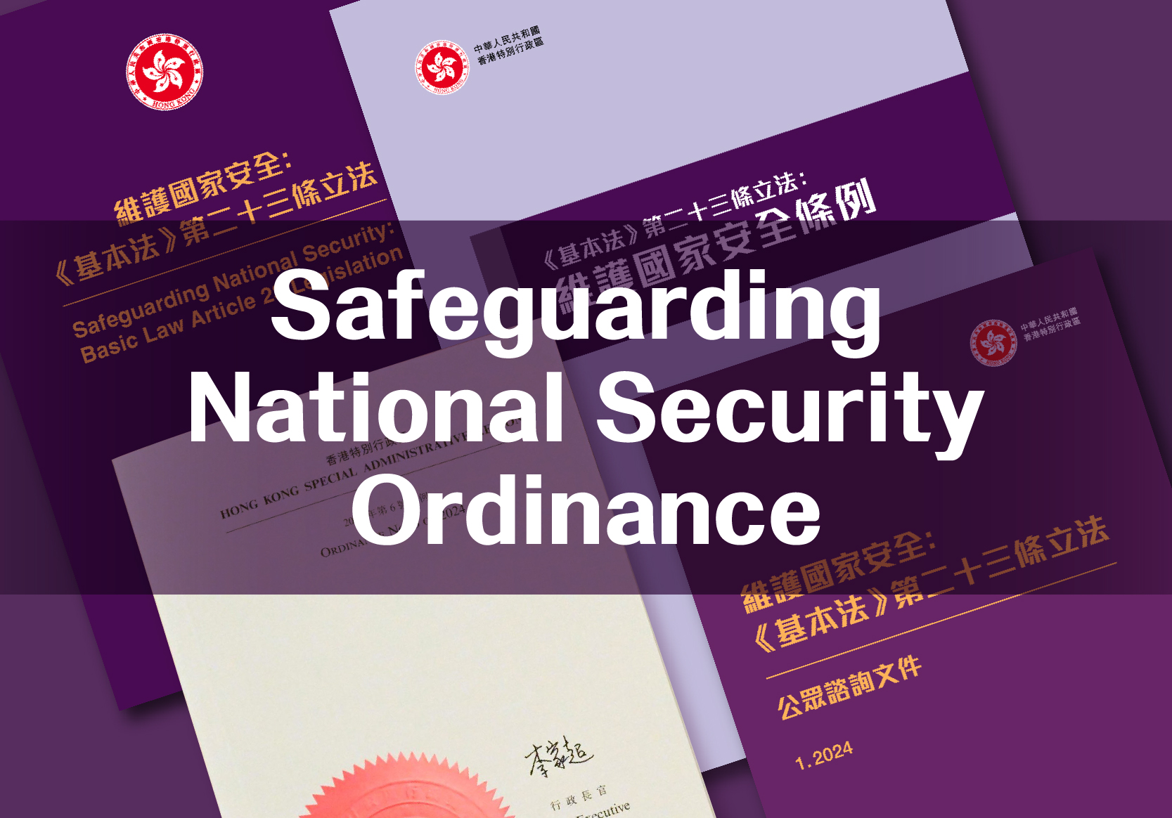 Safeguarding National Security Ordinance