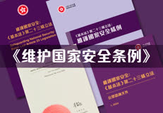 《维护国家安全条例》